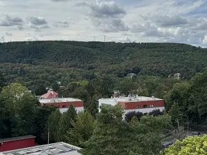 Prodej bytu 3+1, Brno, Neumannova, 67 m2