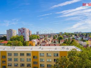 Prodej bytu 3+1, České Budějovice - České Budějovice 3, Plzeňská, 66 m2