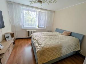 Pronájem bytu 2+1, Hodonín, 58 m2