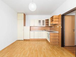 Prodej bytu 2+kk, České Budějovice, Netolická, 41 m2