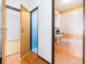 Prodej bytu 2+kk, České Budějovice, Netolická, 41 m2