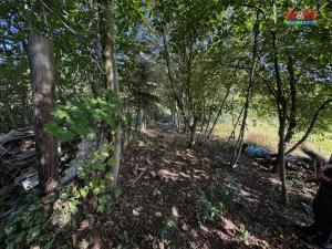 Prodej bytu 3+1, Dubá - Dřevčice, 70 m2