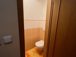 Pronájem bytu 4+kk, Kunčice pod Ondřejníkem, 96 m2