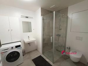 Pronájem bytu 1+kk, Ostrava, Důlní, 54 m2