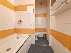 Pronájem bytu 1+kk, Ostrava - Moravská Ostrava, U Parku, 28 m2