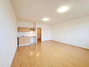 Pronájem bytu 1+kk, Brno, Svitavské nábřeží, 32 m2