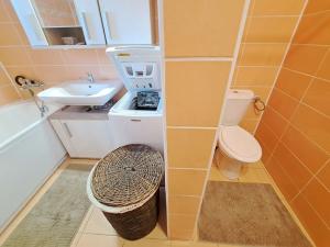 Pronájem bytu 3+1, Zlín, Na Kopci, 100 m2