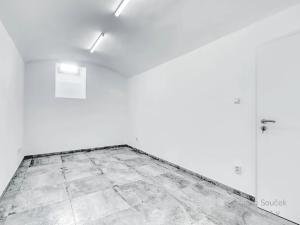 Prodej kanceláře, Praha - Libeň, Vacínova, 66 m2