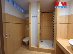 Pronájem bytu 1+1, Písek - Budějovické Předměstí, 17. listopadu, 39 m2