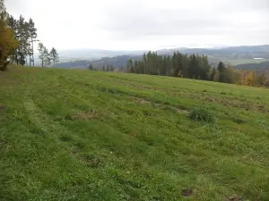 Dražba louky, Vlastiboř, 23043 m2
