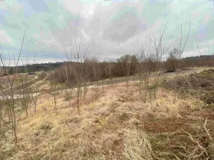 Dražba pole, Týn nad Vltavou, 440 m2