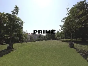 Pronájem kanceláře, Praha - Vinohrady, Blanická, 50 m2