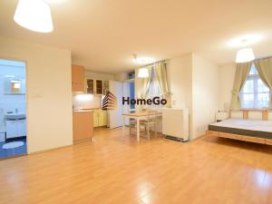 Pronájem bytu 1+kk, Praha - Žižkov, Štítného, 40 m2