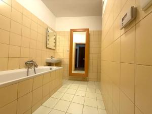 Pronájem bytu 2+kk, Znojmo, Sokolská, 66 m2