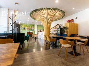 Pronájem restaurace, Teplice, U divadla, 162 m2