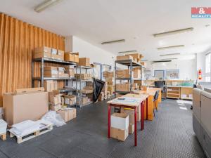 Prodej výrobních prostor, České Budějovice - České Budějovice 2, Prachatická, 1100 m2
