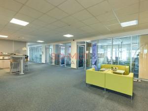 Pronájem kanceláře, Hustopeče, Herbenova, 526 m2