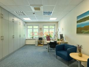 Pronájem kanceláře, Hustopeče, Herbenova, 526 m2
