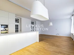 Pronájem bytu 3+kk, Praha - Josefov, Břehová, 140 m2