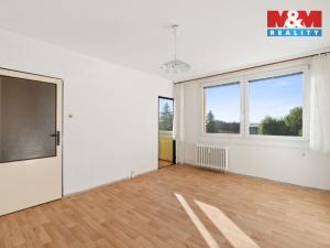 Prodej bytu 1+kk, Hrob, Rybniční, 27 m2