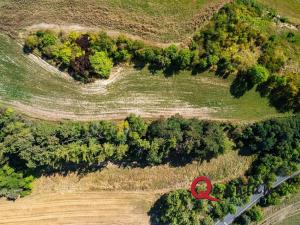 Prodej pozemku pro bydlení, Brandýsek, Nad Kovárnou, 16339 m2