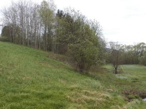 Dražba louky, Mosty u Jablunkova, 8296 m2