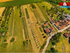 Prodej pozemku pro bydlení, Borkovany, 7835 m2