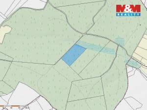 Prodej lesa, Milevsko - Klisín, 154293 m2