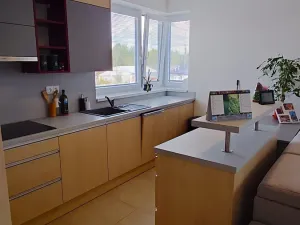 Pronájem bytu 2+kk, Trhové Sviny, Za Pilou, 53 m2