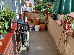 Prodej bytu 3+1, Hlubočky - Mariánské Údolí, Boční, 79 m2