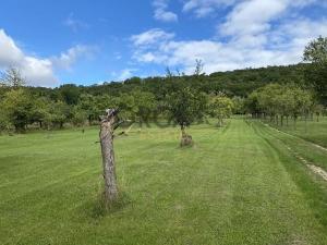 Prodej chaty, Moravany, 24 m2