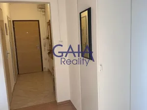 Pronájem bytu 3+1, Hodonín, Šafaříkova, 75 m2