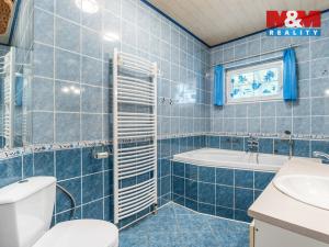 Prodej rodinného domu, Velké Chvojno - Malé Chvojno, 240 m2