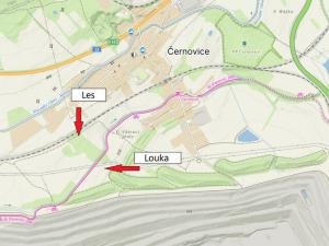 Prodej lesa, Spořice, 17656 m2