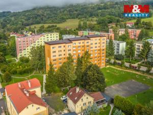 Prodej bytu 2+kk, Benešov nad Ploučnicí, Sídliště, 39 m2