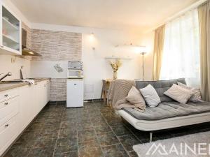 Pronájem bytu 2+kk, Plzeň, Francouzská třída, 39 m2