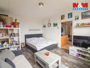 Prodej bytu 1+1, Krupka - Bohosudov, Kollárova, 35 m2