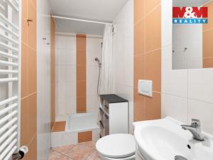 Prodej bytu 2+kk, Praha - Bohnice, Bohnická, 55 m2