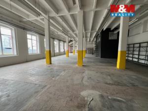 Pronájem skladu, Brno - Zábrdovice, Radlas, 480 m2