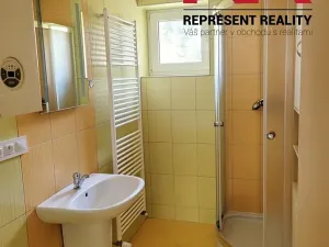 Pronájem obchodního prostoru, Plzeň, Mezi Ploty, 160 m2