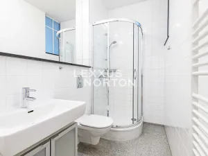 Pronájem bytu 4+1, Praha - Vinohrady, Na Švihance, 140 m2