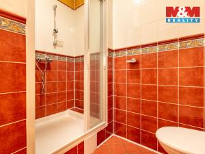 Prodej rodinného domu, Louny, Dalimilova, 378 m2