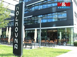 Pronájem bytu 2+1, Praha - Holešovice, Dělnická, 55 m2