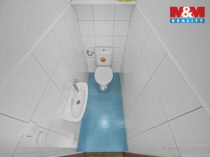 Pronájem rodinného domu, Podbřezí - Lhota Netřeba, 230 m2