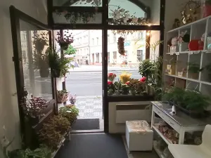 Pronájem obchodního prostoru, Praha - Vinohrady, Francouzská, 29 m2