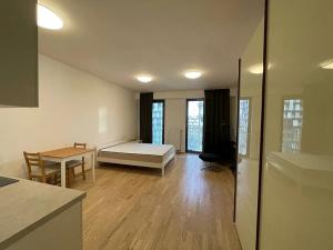 Pronájem bytu 1+kk, Praha - Žižkov, Olšanská, 38 m2