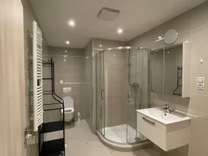 Pronájem bytu 1+kk, Praha - Žižkov, Olšanská, 38 m2