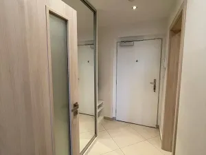 Pronájem bytu 1+kk, Praha - Žižkov, Olšanská, 38 m2