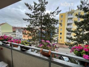 Pronájem bytu 3+1, České Budějovice, Lipenská, 81 m2