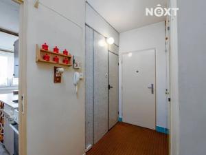 Prodej bytu 2+1, Plzeň, Skupova, 61 m2